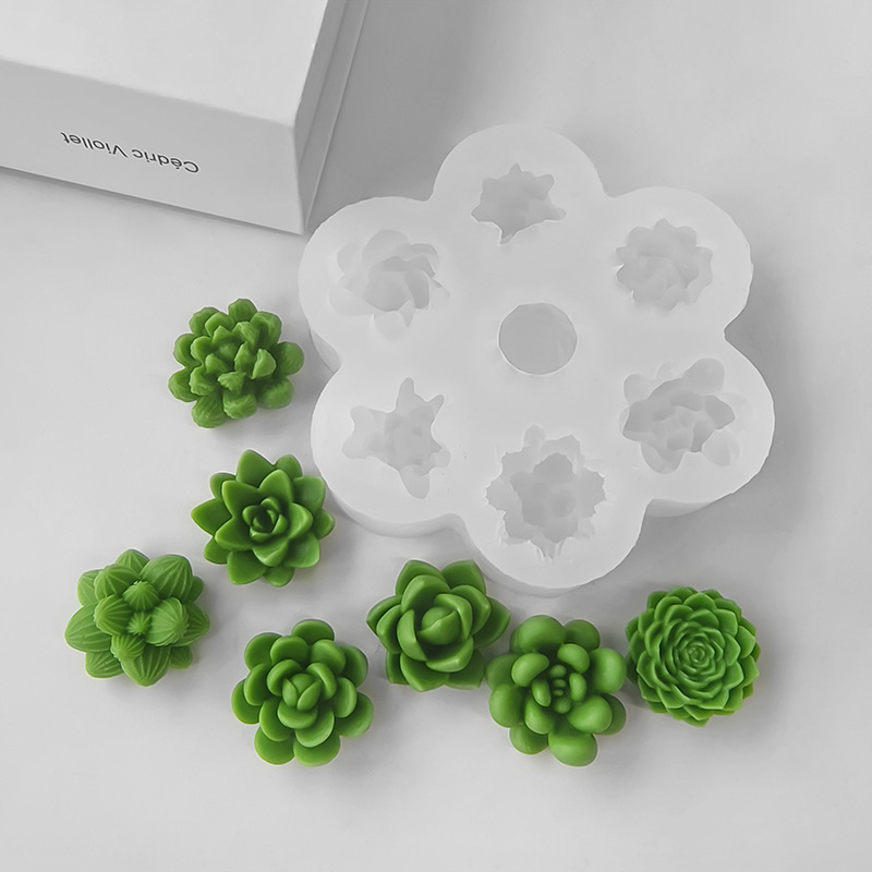 7 In1 Succulent Cactus Silicon - огляд і ціна Soap Making Home