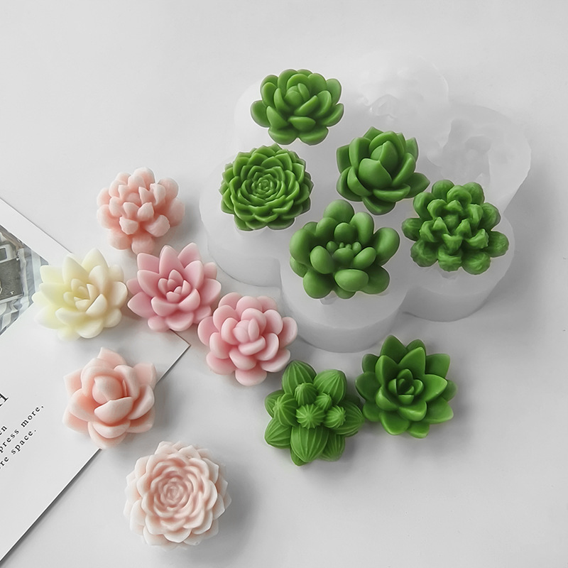 7 In1 Succulent Cactus Silicon - огляд і ціна Soap Making Home